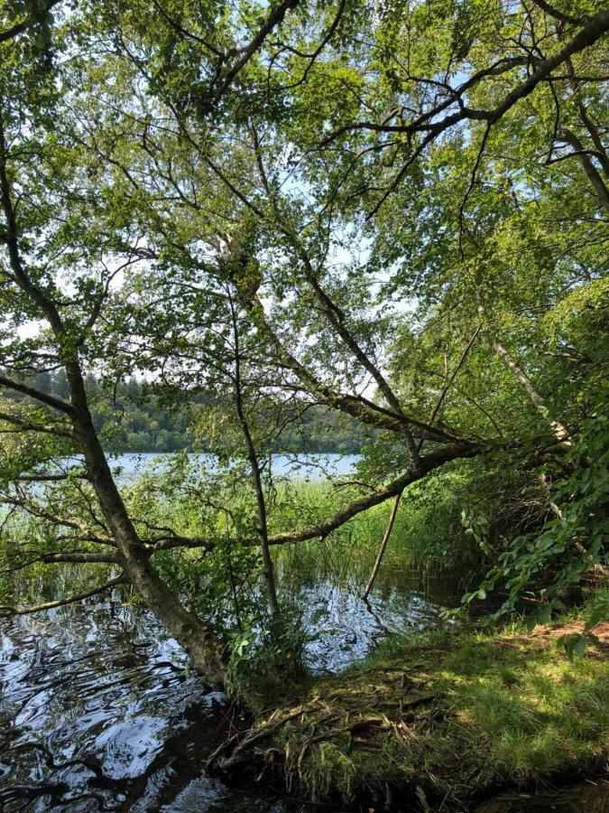 Borgdal Bed and Breakfast Silkeborg Buitenkant foto